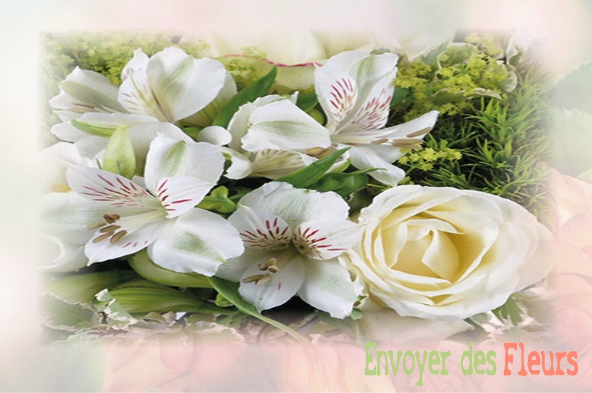 envoyer des fleurs à à SAINT-HILAIRE-LES-COURBES
